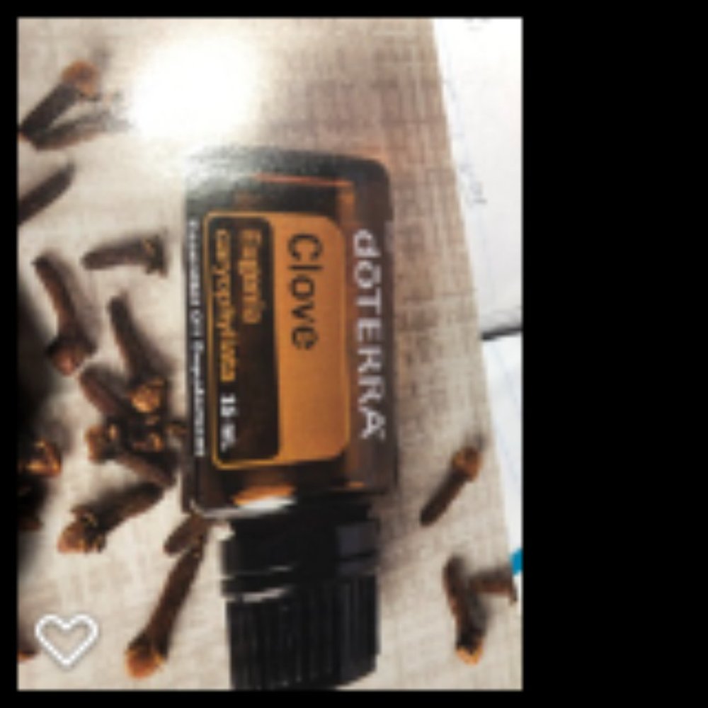 doTERRA Clove 15 ml oil